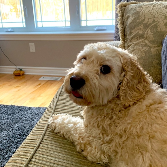 ALL PRICES NEGOTIABLE!!! CLOSET CLEAR-OUT - Picture 1 of 1